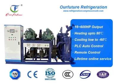 China R404a  brand screw type parallel compressor racks for fruit processing for sale
