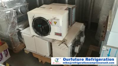 China Anti - Corrosion CO2 Evaporator For Freezer Tunnel And Other Freezer System for sale