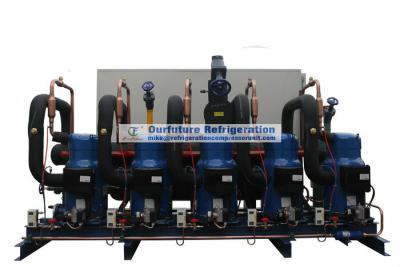 China Enrolle el tipo unidad de condensación con el compresor de Danfoss R404a y el control del PLC para la tienda fría en venta