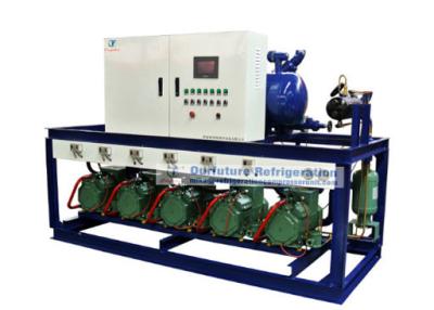 China R404a  piston type refrigeartion compressor unit for 2℃ fruit cold storage for sale