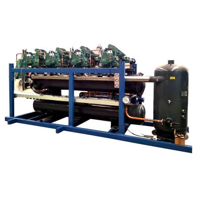 China High-efficiency And Energy-saving Multi-Compressor Rack For Cold Storage With Customized Programming for sale