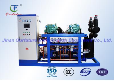 China Unidad del estante del compresor de la refrigeración de Bitzer Carlyle para el congelador de ráfaga en venta