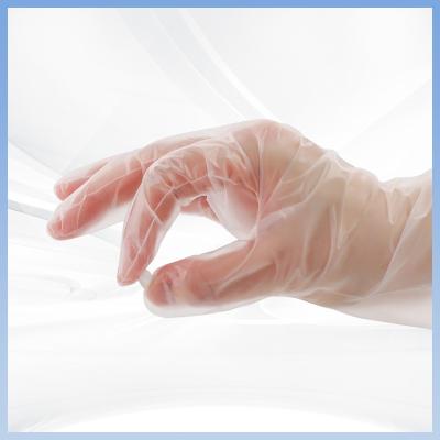 中国 非有毒なTPEのゆとりのフード サービスの手袋の使い捨て可能な乳液の自由な手袋 販売のため