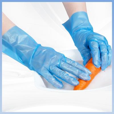 China Eco Friendly TPE Disposable Gloves Sterile Hand Gloves recyclable for sale