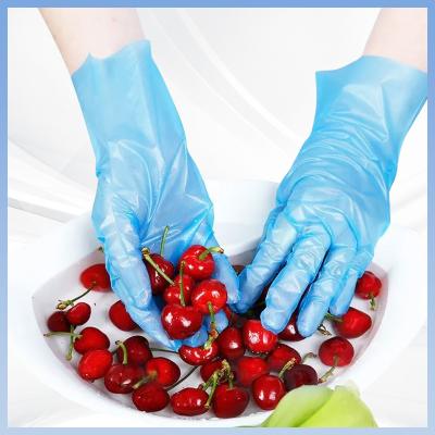 China FDA-Wegwerf-TPE-Handschuh-Abnutzungs-beständige Nahrungsmittelsichere Wegwerfhandschuhe zu verkaufen
