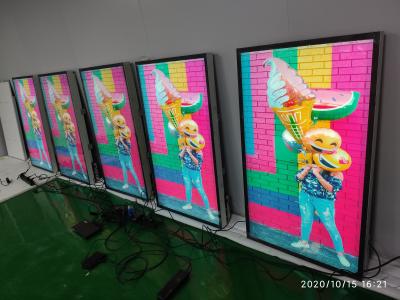 China Exhibición al aire libre Fanless OLED 3000nits 55