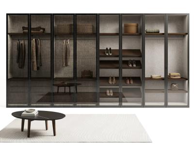 China Fitted Modern Glass Wardrobe with Display Shelf Industrial Style Closet for sale