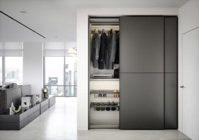 China Custom Modern Grey Wardrobe Bespoke PET Closet with Shoe Rack for sale