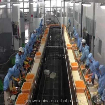 Китай Orange juice processing line/ turn-key project for the canned mandarin orange line продается