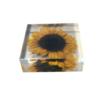 China Cubic acrylic resin paper weight with insect and flowers inside acrylic paperweight for sale