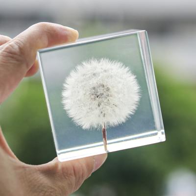 China Custom clear epoxy real flower specimen acrylic dandelion paper weight for sale