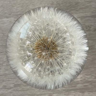 China Dandelion Flower Ball Paperweight, Real Dandelion in Resin for sale