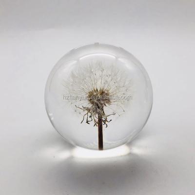 China Home Decoration Dandelion Paper Weight , Acrylic Flower Resin Paperweight for sale