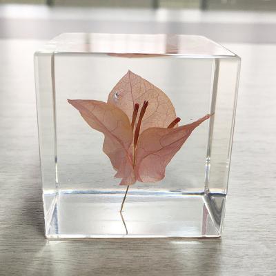 China Aduana barata al por mayor del peso de papel con el peso de papel cristalino claro de acrílico de las flores del pisapapeles seco real de la resina en venta