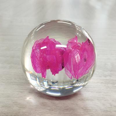 China Dried Flower Paperweight Ball 80mm Nature Style Logo Customized for sale