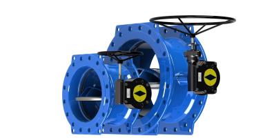 China SS316L Disc Ring Double Eccentric Butterfly Valve Bare Head for sale