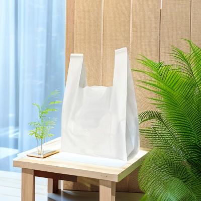 China Promotion Fruit Compostable Biodegradable Shopping Bag Custom Made for sale