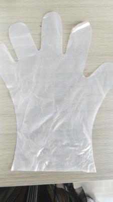China OEM Compostable Biodegradable Disposable Gloves Food Preparation for sale