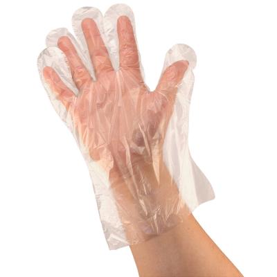 China PLA Plastic Biodegradable Disposable Gloves Plant Based Material for sale