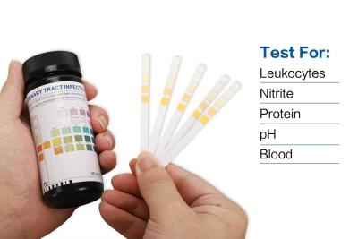 China Glucose Protein Urine Ph Strips MSDS Approved for sale