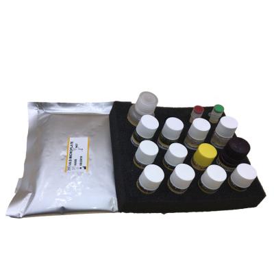 China Growth Regulated Oncogene Alpha CXCL1 Elisa Test Kit For Reaserch for sale