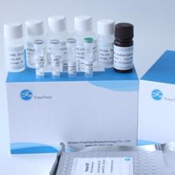 China Macrophage Colony Stimulating Factor M-CSF ELISA Kit FDA Approved for sale