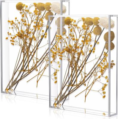 China Estante de exhibición de la caja de flores de acrílico con marco de fase para colocar flores y plantas en venta