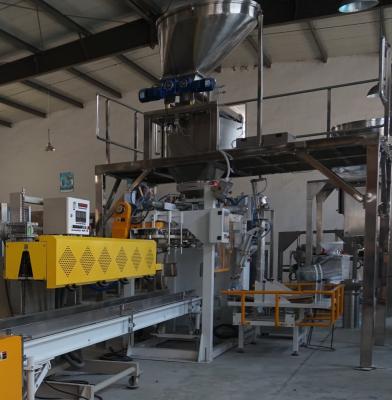 China 10KG Rice Premade Pouch Packing Machine 15 Bags / Min Nuts Packaging Machine for sale