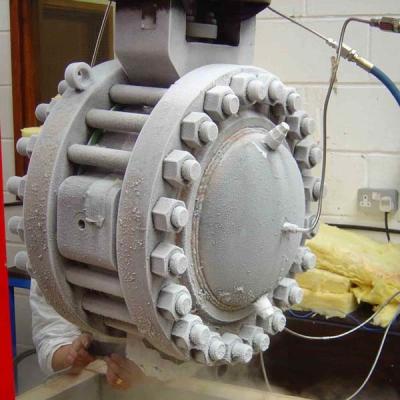 China Wafer / Lug / Flange Type Double Disc Cryogenic Valve for sale