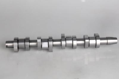 China 1010063SX Audi A3 | A4 | A6 Camshaft In Car Engine 038109101R for sale