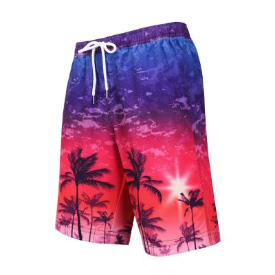 China Summer Parited Beach Wear Colorful 2XL SUP Board Shorts for sale