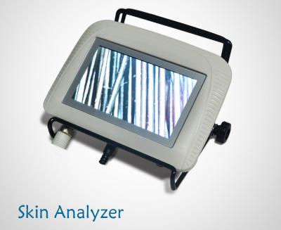 China Alta resolução da máquina da análise do escalpe da pele do cabelo de Digitas com o tela táctil de 5 polegadas à venda
