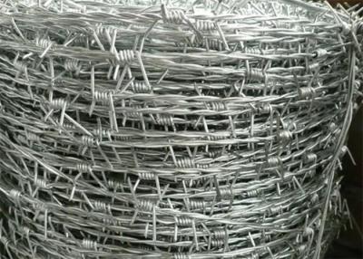 China 16x16 Razor Barbed Wire Reverse Twist Hot Dipped Galvanized for sale