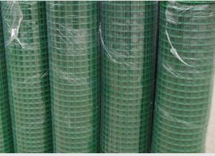 China Hot Dipped Galvanized Pvc Coated Welded Wire Mesh Bwg12 For Fence en venta