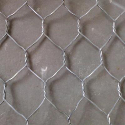 China 1/2 inch 1m Chicken Wire Mesh Roll Hot Dipped Galvanized Hexagonal Wire Mesh Fencing for sale
