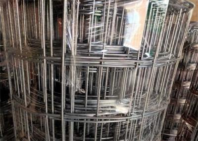 China 2 x 2 en el moho anti de los 3Ft de los x 30M Galvanised Wire Mesh Wire Garden Fence Roll en venta