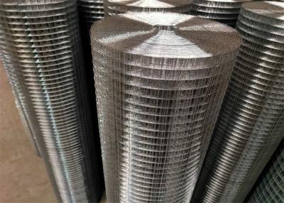 China 1/4 In Square Hole Welded Wire Mesh Rolls for sale
