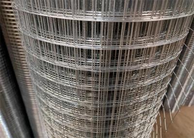 China 25 X 25mm 4 Ft Garden Fencing Roll Galvanized Silver Wire Mesh For Construction for sale