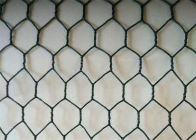 China 3/4in 1.0mm Galvanized Steel Poultry Netting Roll 30m Green Pvc Coated Chicken Wire for sale