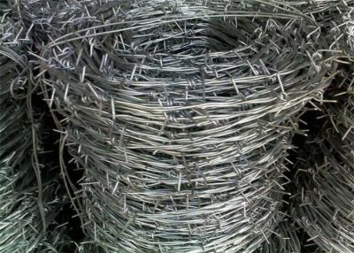 China 14 X 14 Hot Dipped Galvanized Razor Barbed Wire For Airport Prison Security Fence for sale