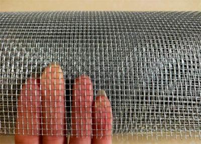 China 4′X100′ Filter Insect Screen Galvanized Square Woven Wire Mesh for sale