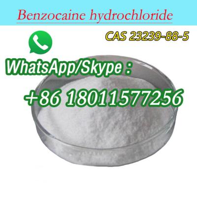 China Benzocaine hydrochloride CAS 23239-88-5 Ethyl 4-aminobenzoate hydrochloride for sale