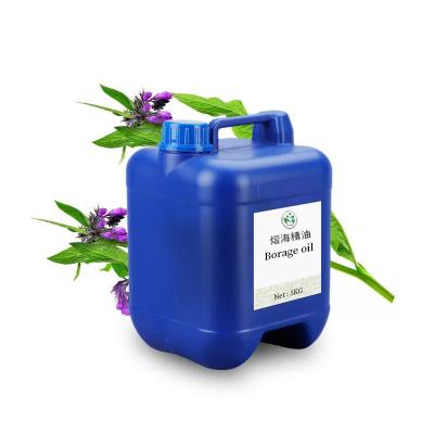 China Factory Wholesale Borage Oil Gentle Natural Massage Spa Carrier Oil For babies all person en venta