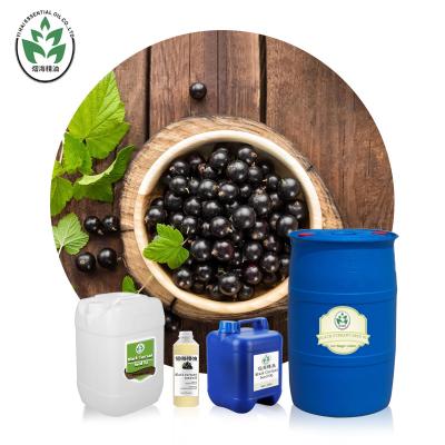 China OEM ODM Black Currant Seed Carrier Oil Cold Press For Health Care for sale