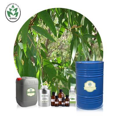 China Globulus Aromatherapy Essential Oils for sale