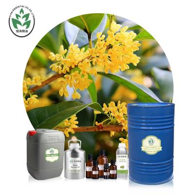 China CAS 8006-78-8 Aromatherapy Essential Oils Laurel Leaf Essential Oil for sale