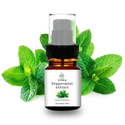 China CAS 90063 97 1 Natural Hydrosolpure Peppermint Extract Itchy Skin Treatment for sale