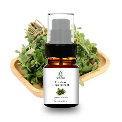 China 100ML Cas 90083-07-1 Purslane Essential Oil Yellow Pain Relief for sale