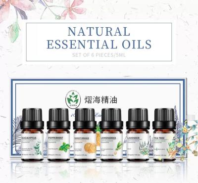 China o óleo essencial da aromaterapia de 10ml 6pcs ajustou o cuidado saudável Custmoized à venda