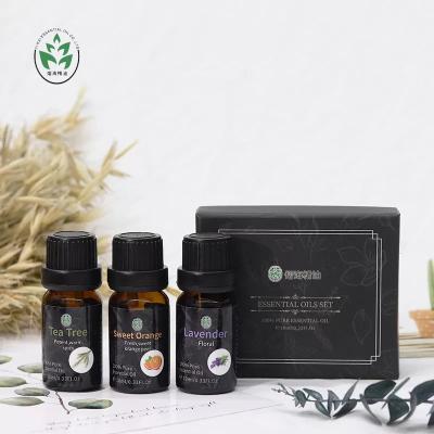 China Characteristic Scent OEM Essential Oil Kit Aromatherapy Essential Oil Set for sale